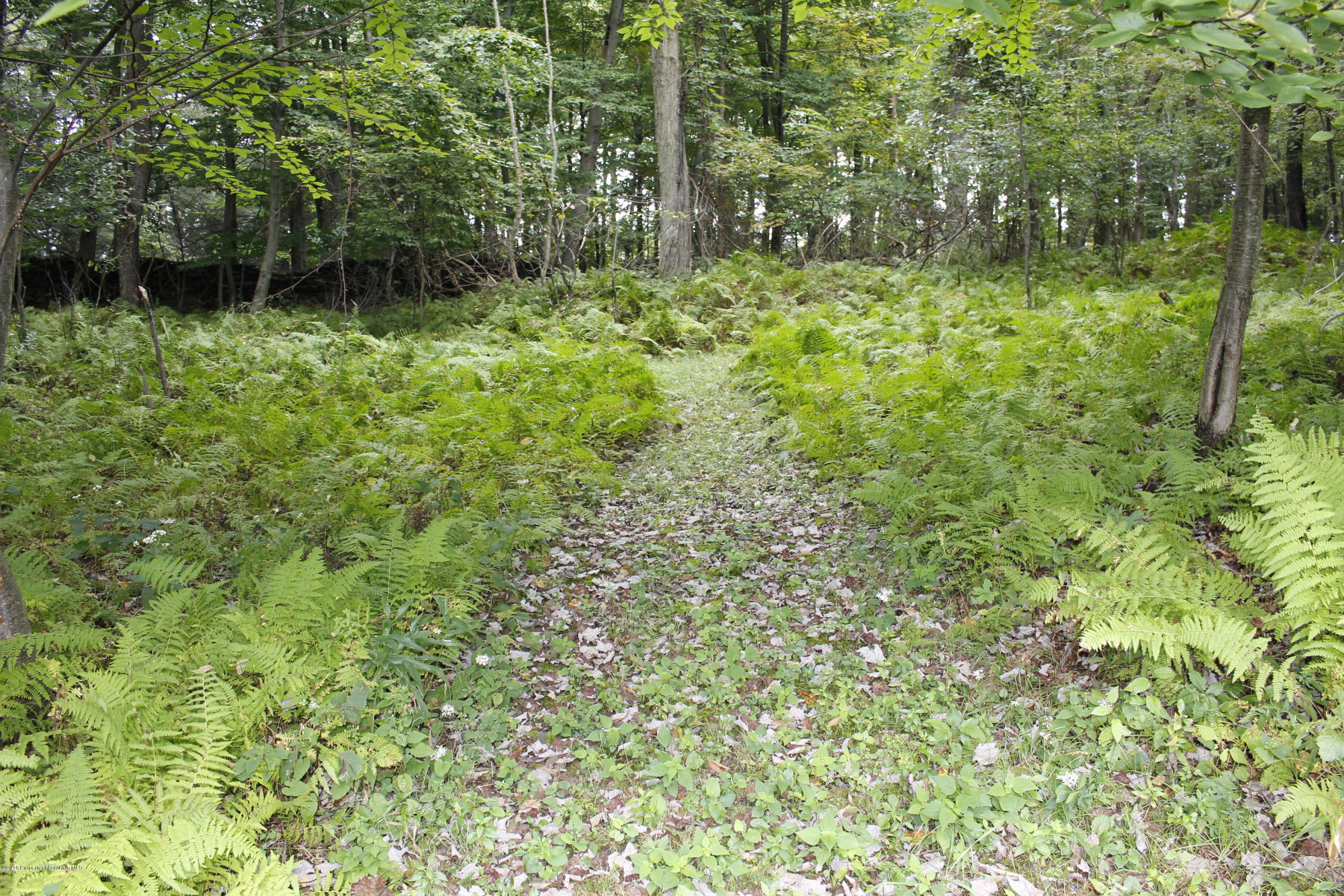 223 Fuller Road Dalton, PA 18414 - Photo 83 of 97 Gallery Image 83