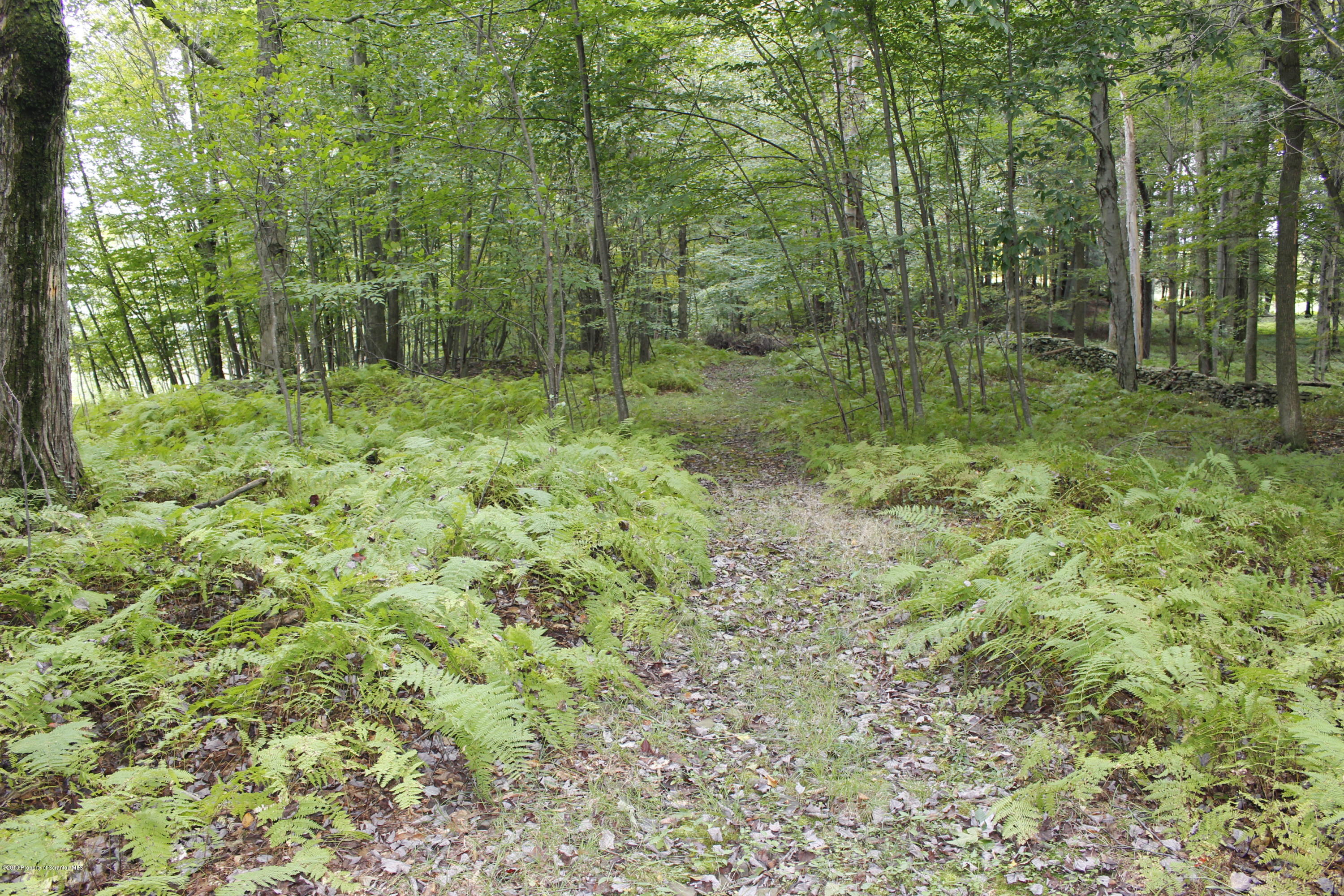 223 Fuller Road Dalton, PA 18414 - Photo 88 of 97 Gallery Image 88