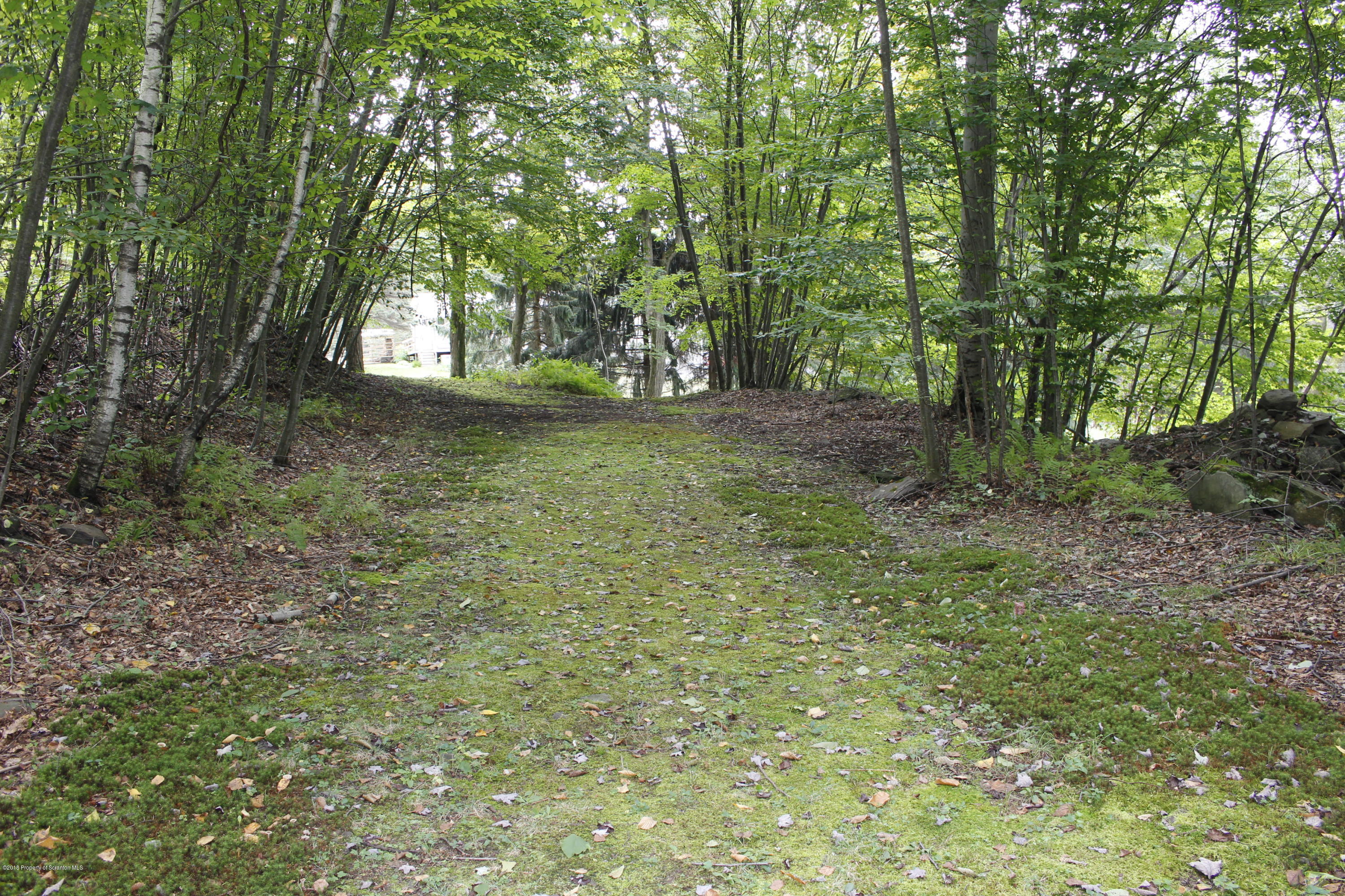 223 Fuller Road Dalton, PA 18414 - Photo 91 of 97 Gallery Image 91