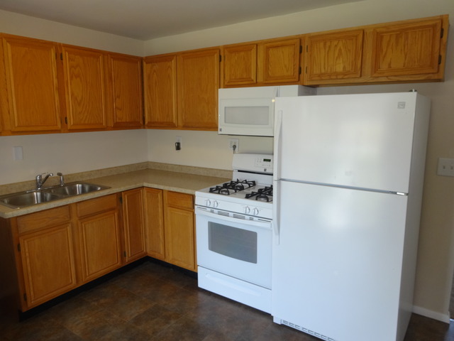 253 Rivers View Drive Carpentersville, IL 60110 - Photo 2 of 9