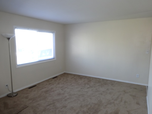 253 Rivers View Drive Carpentersville, IL 60110 - Photo 3 of 9