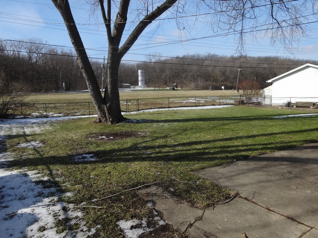 253 Rivers View Drive Carpentersville, IL 60110 - Photo 4 of 9