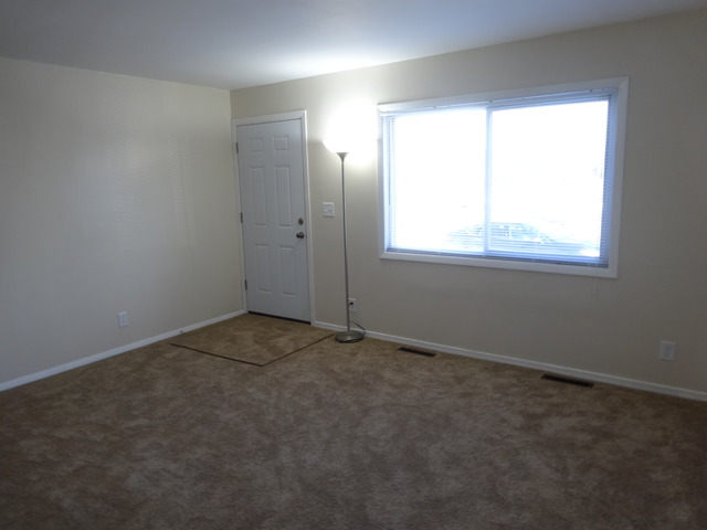 253 Rivers View Drive Carpentersville, IL 60110 - Photo 9 of 9