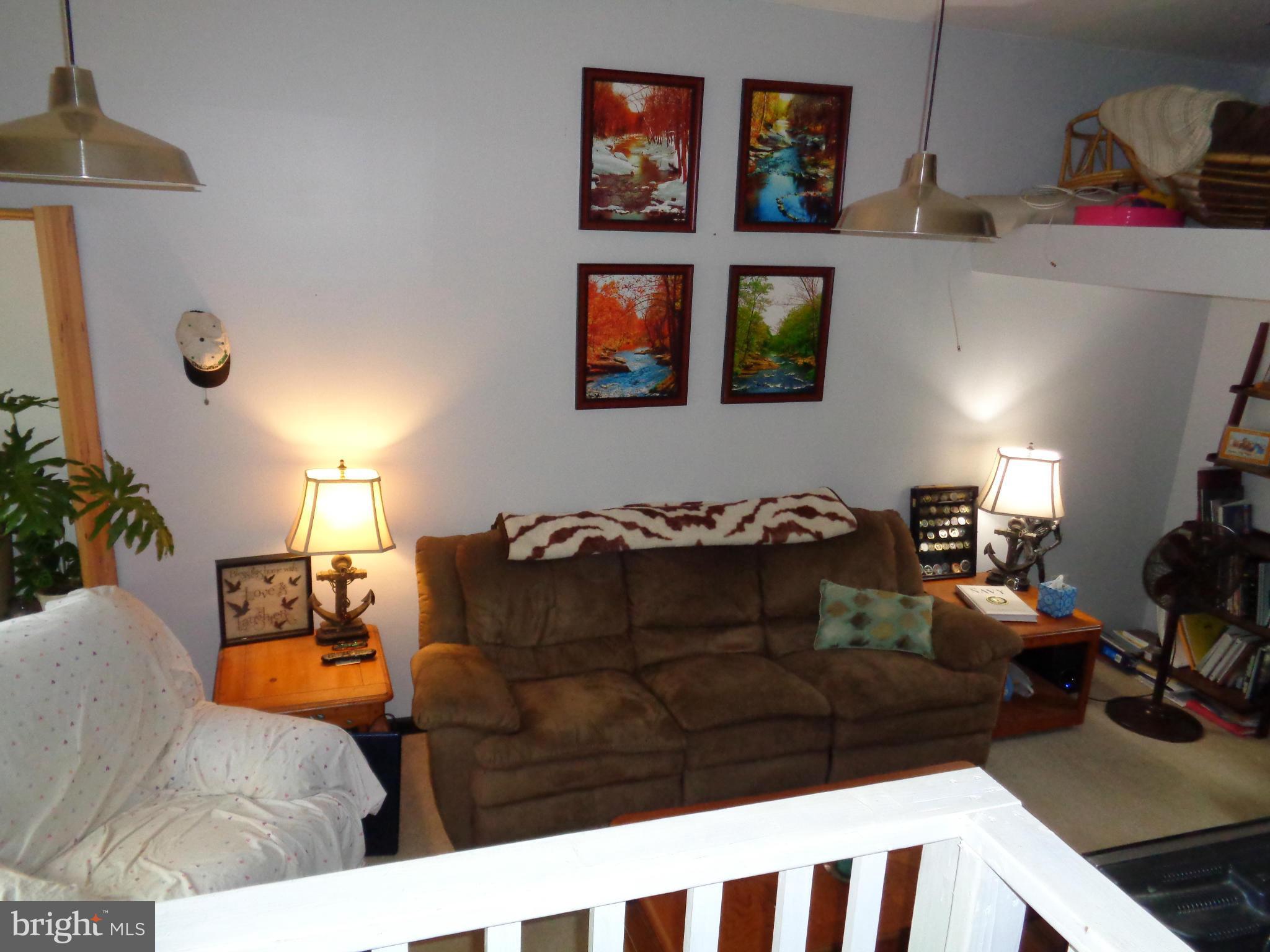 5308 Forge Road White Marsh, MD 21162 - Photo 11 of 26 a living room with furniture and a potted plant