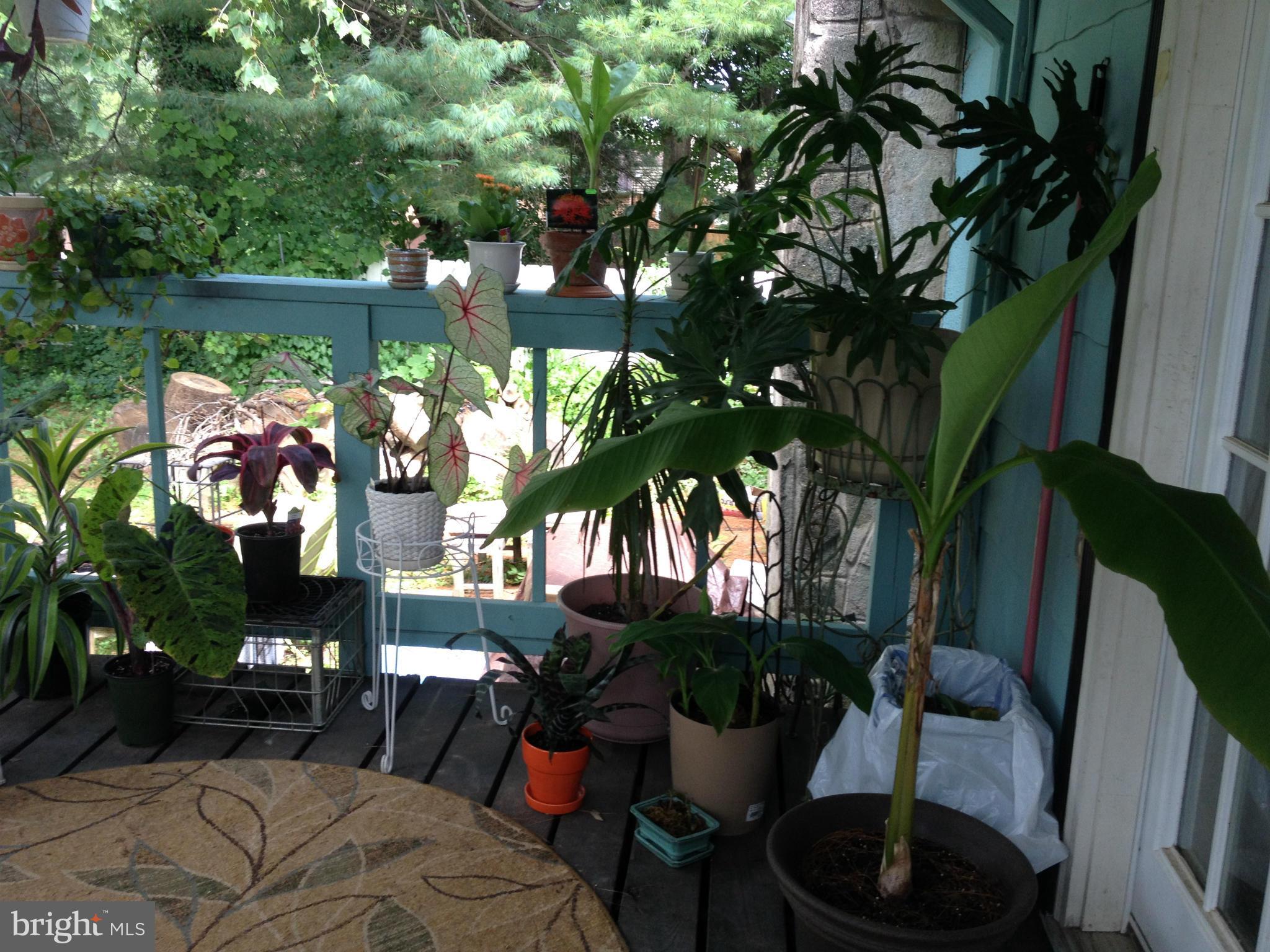 5308 Forge Road White Marsh, MD 21162 - Photo 21 of 26 a view of a balcony with chairs and a potted plant