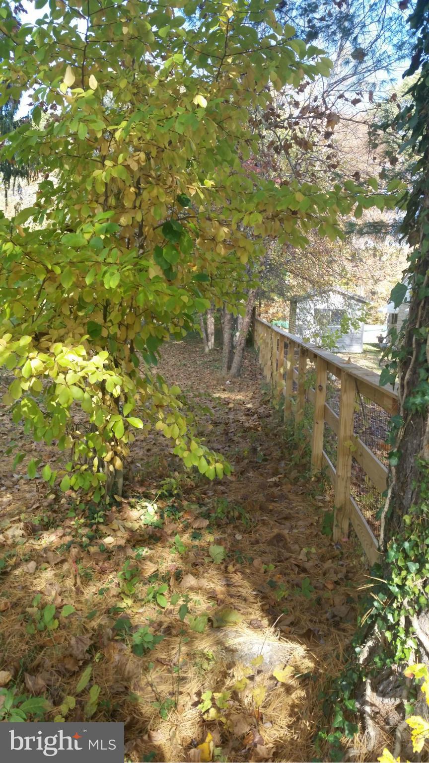 5308 Forge Road White Marsh, MD 21162 - Photo 25 of 26 a view of lake
