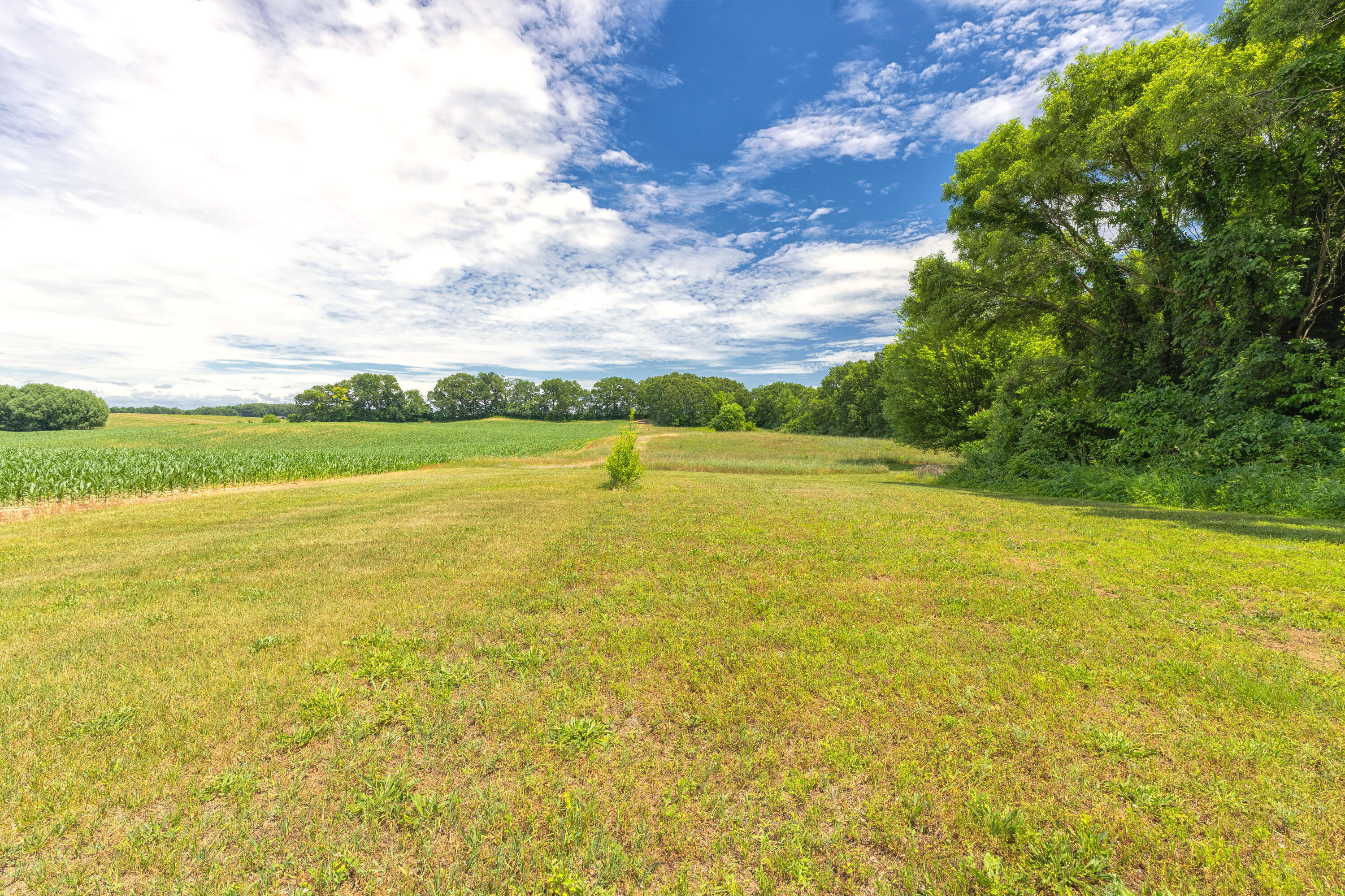 3707 Boyer Road Coloma, MI 49038 - Photo 28 of 32 Boyer_3707-15