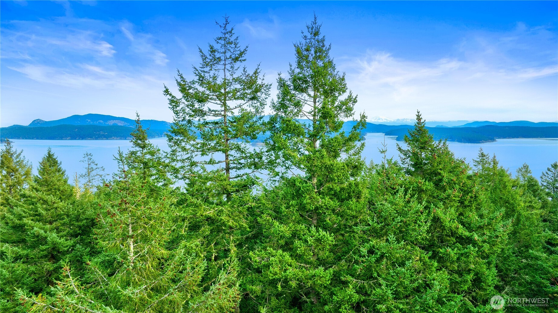 0 Misty Isle Drive Friday Harbor, WA 98250 - Photo 15 of 22