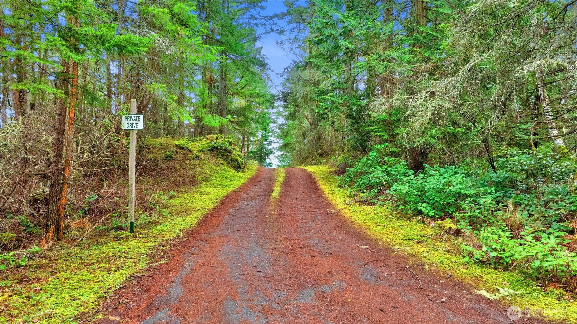 0 Misty Isle Drive Friday Harbor, WA 98250 - Photo 7 of 22