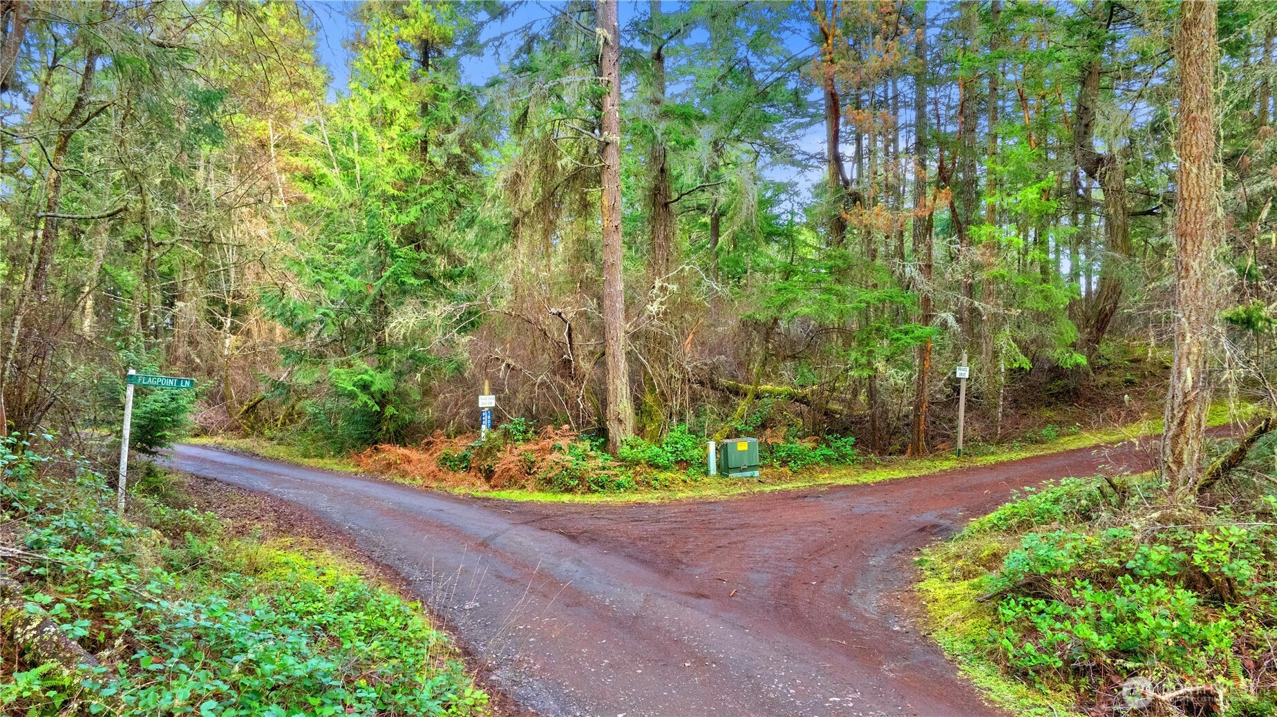 0 Misty Isle Drive Friday Harbor, WA 98250 - Photo 8 of 22