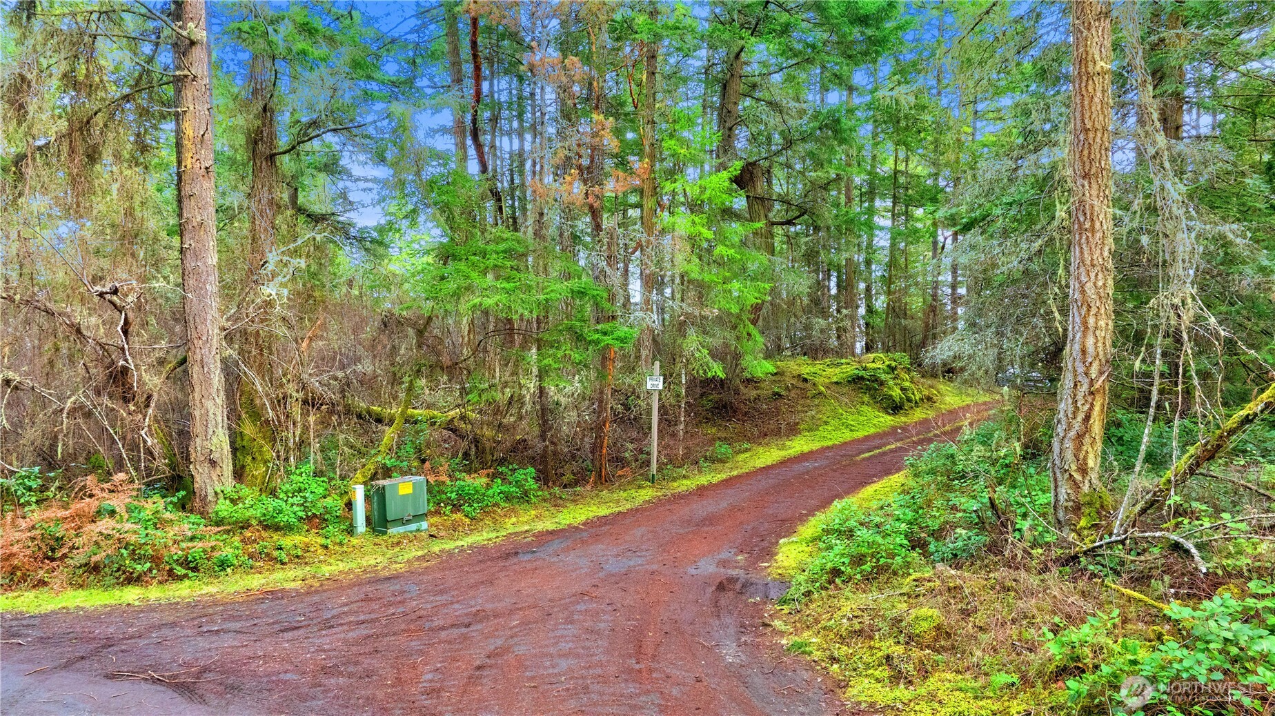 0 Misty Isle Drive Friday Harbor, WA 98250 - Photo 9 of 22