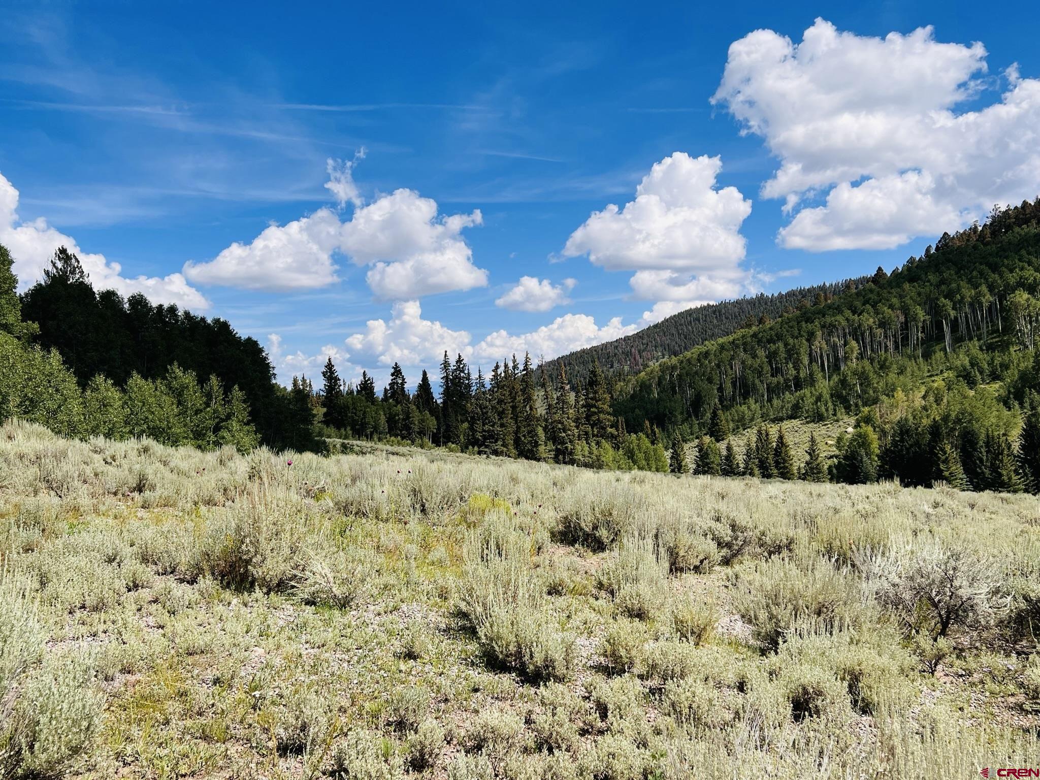 1901 Armitage Springs Road Powderhorn, CO 81243 - Photo 15 of 21 Gallery Image 15