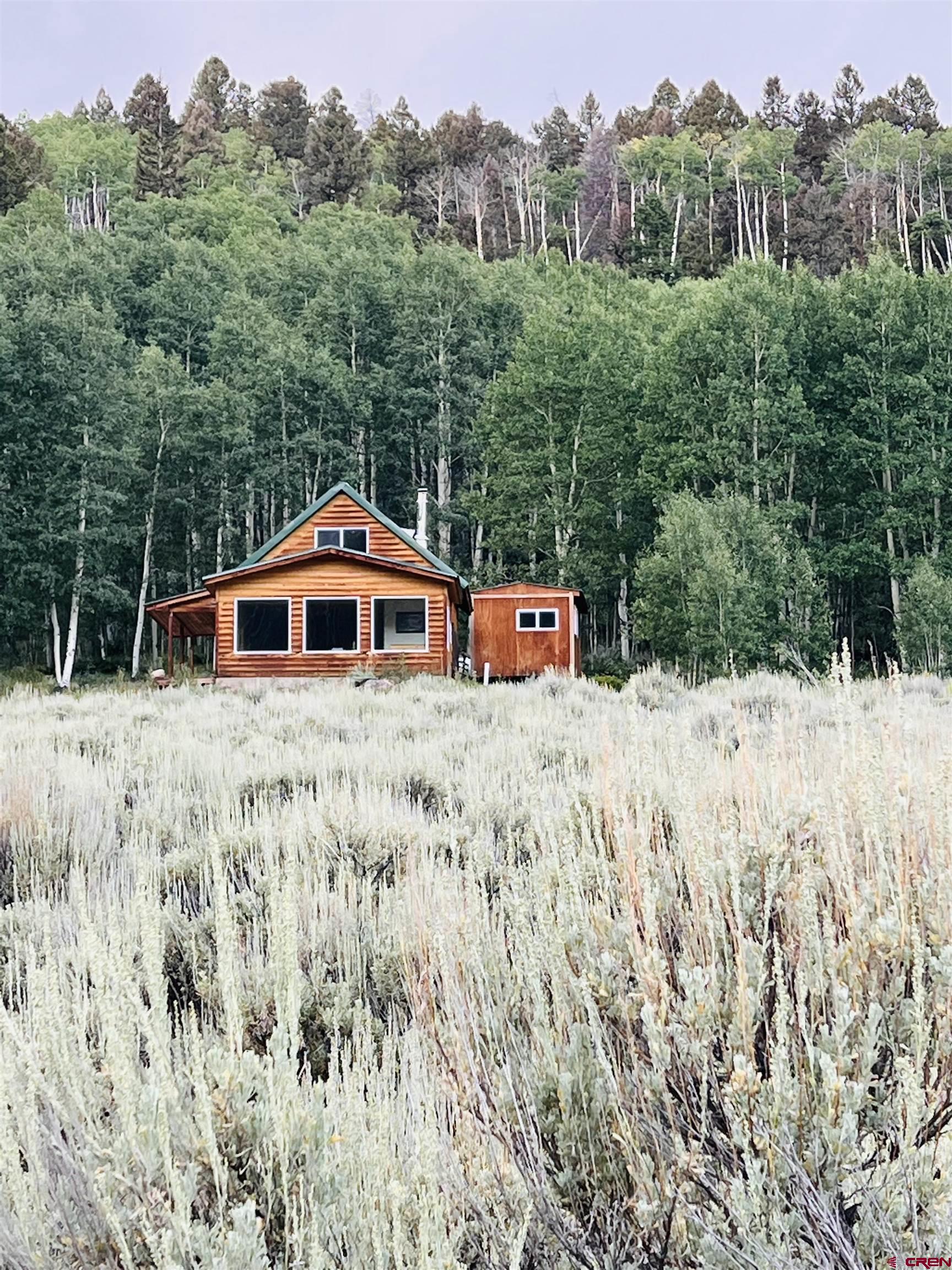 1901 Armitage Springs Road Powderhorn, CO 81243 - Photo 3 of 21 Gallery Image 3