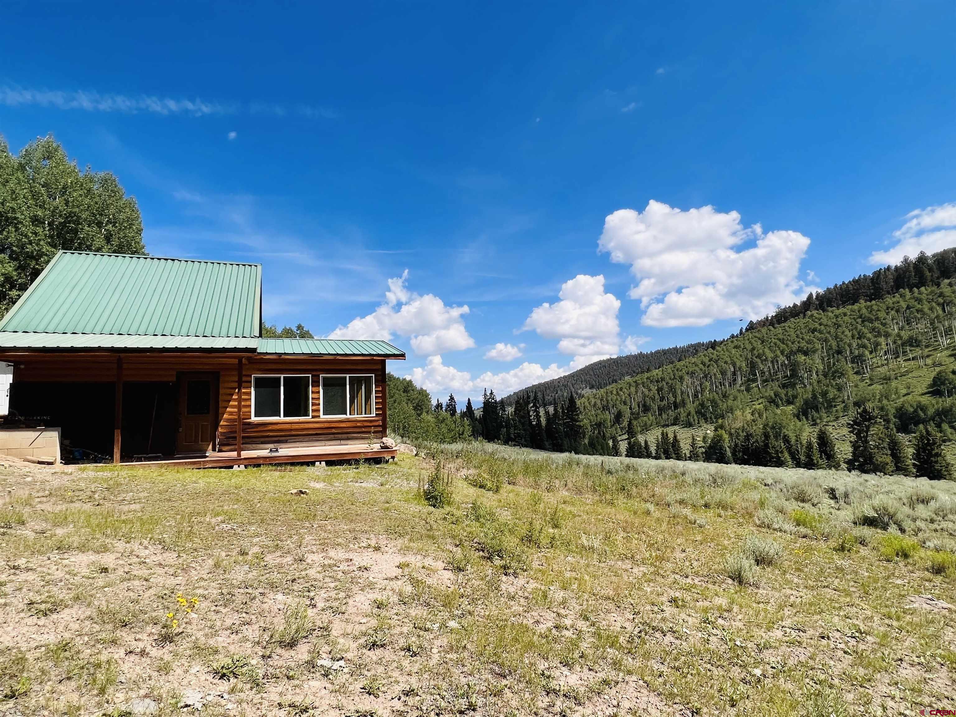 1901 Armitage Springs Road Powderhorn, CO 81243 - Photo 4 of 21 Gallery Image 4