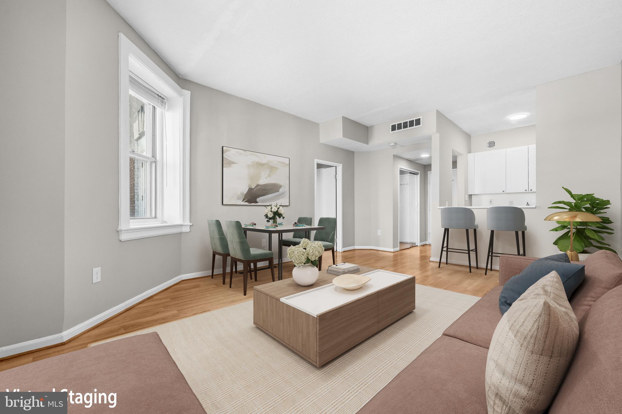 1851 Columbia Road Northwest, Unit 401 Washington, DC 20009 - Photo 5 of 27 a living room with furniture potted plant and a window