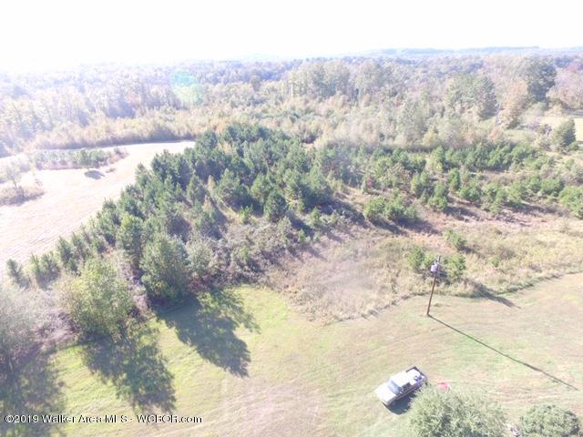 Kings Road Oakman, AL 35579 - Photo 3 of 3 Gallery Image 3