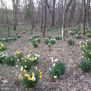 7237 Broad Springs Road The Plains, VA 20198 - Photo 28 of 30 View
