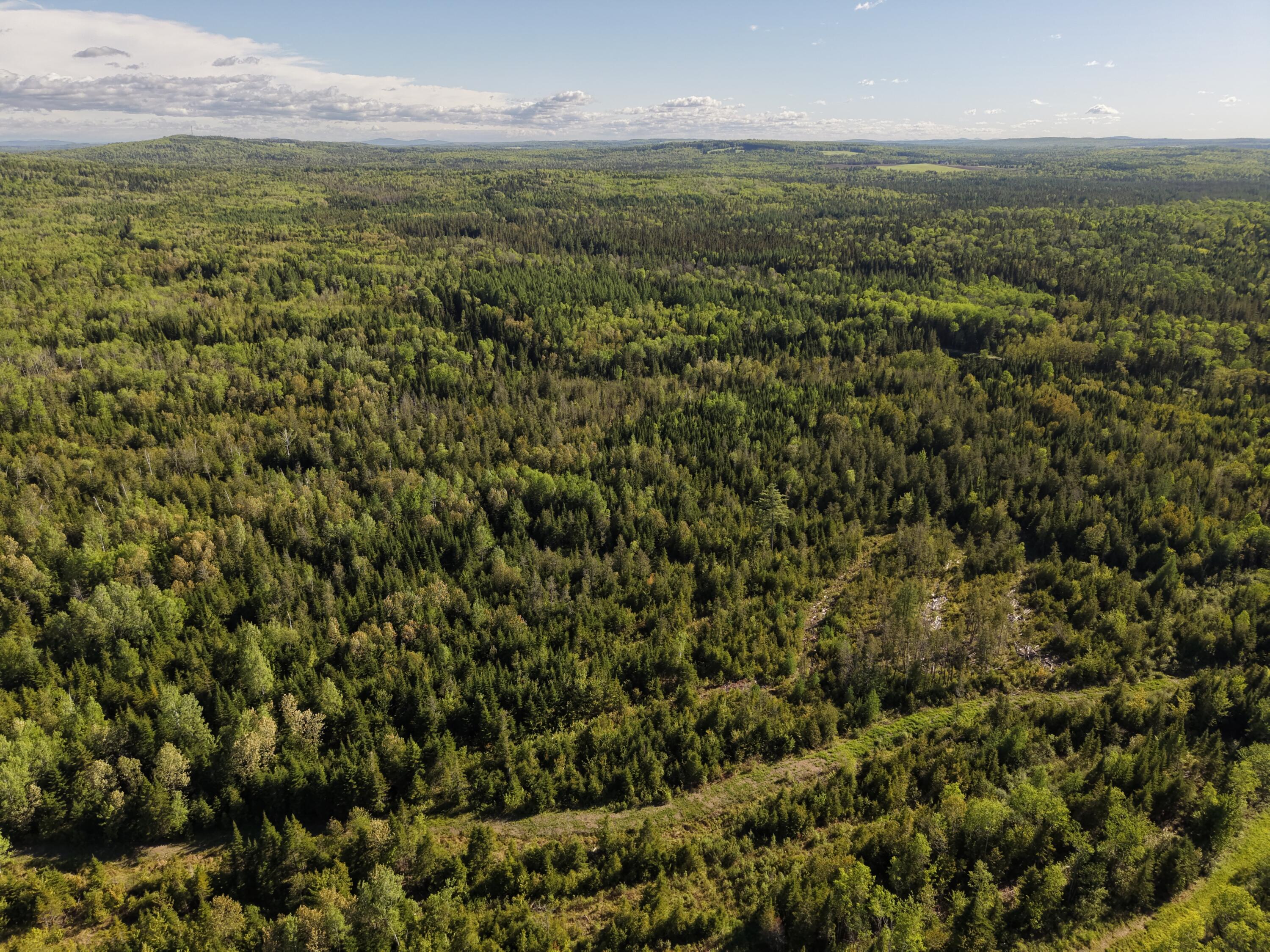 M5-l50d Rista Road New Sweden, ME 04762 - Photo 8 of 39
