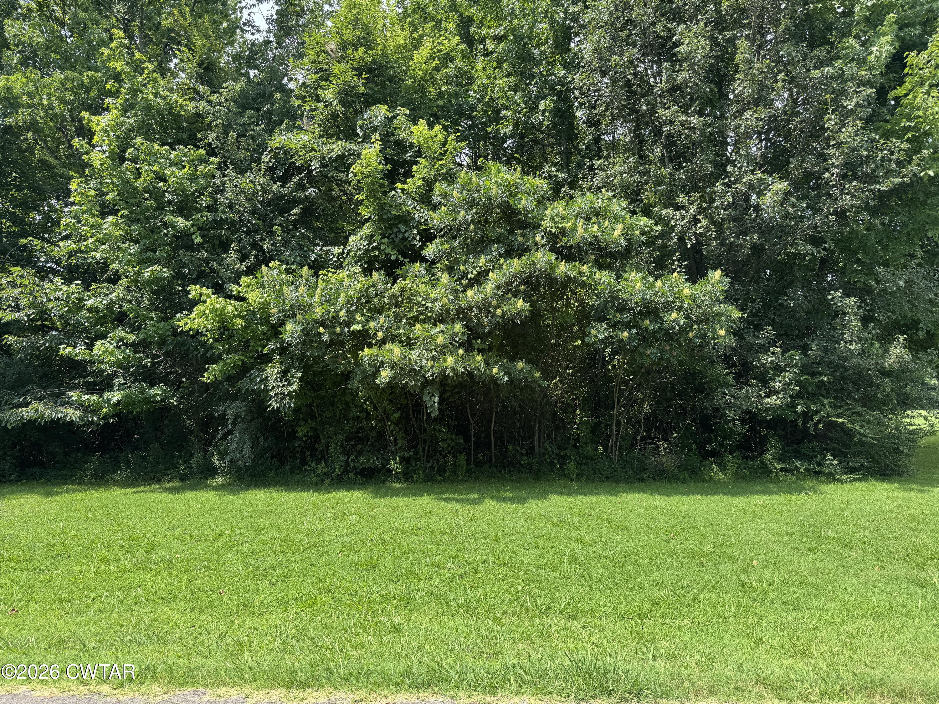 114 A Pepper Tree Road Jackson, TN 38305 - Photo 1 of 3 IMG_2408