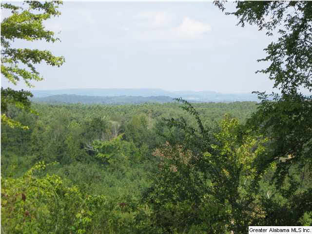 4718 County Line Road Vinemont, AL 35179 - Photo 1 of 6