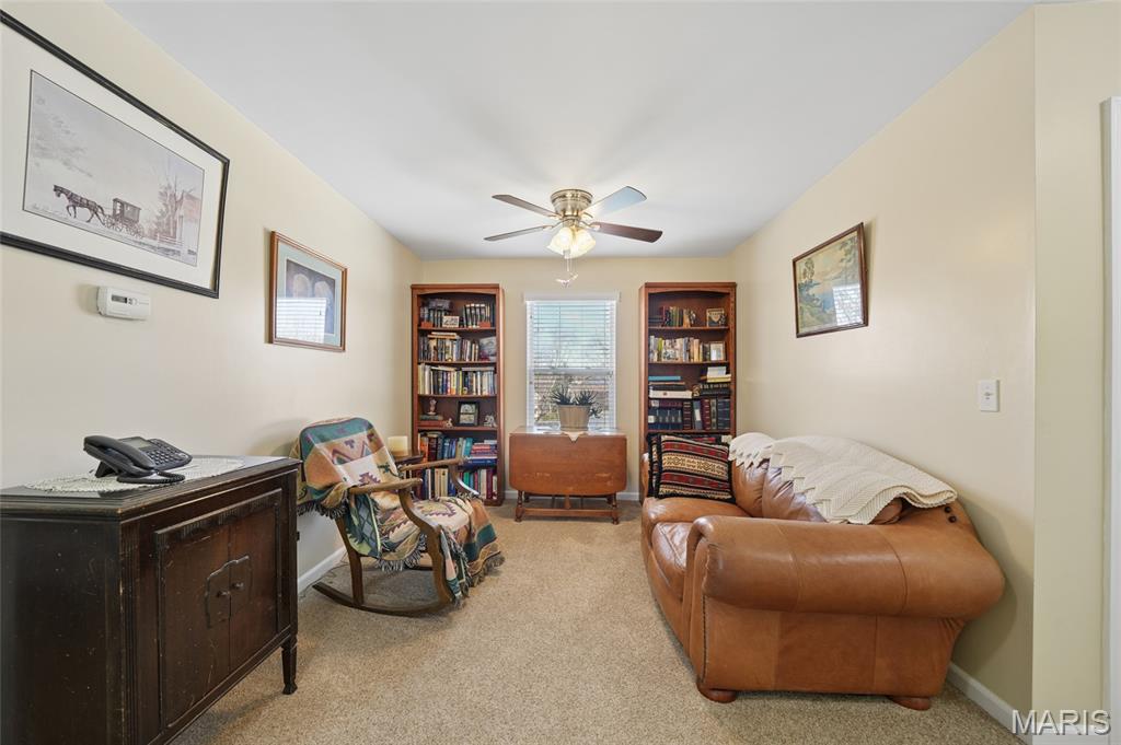 6099 Timber Hollow Lane High Ridge, MO 63049 - Photo 27 of 41