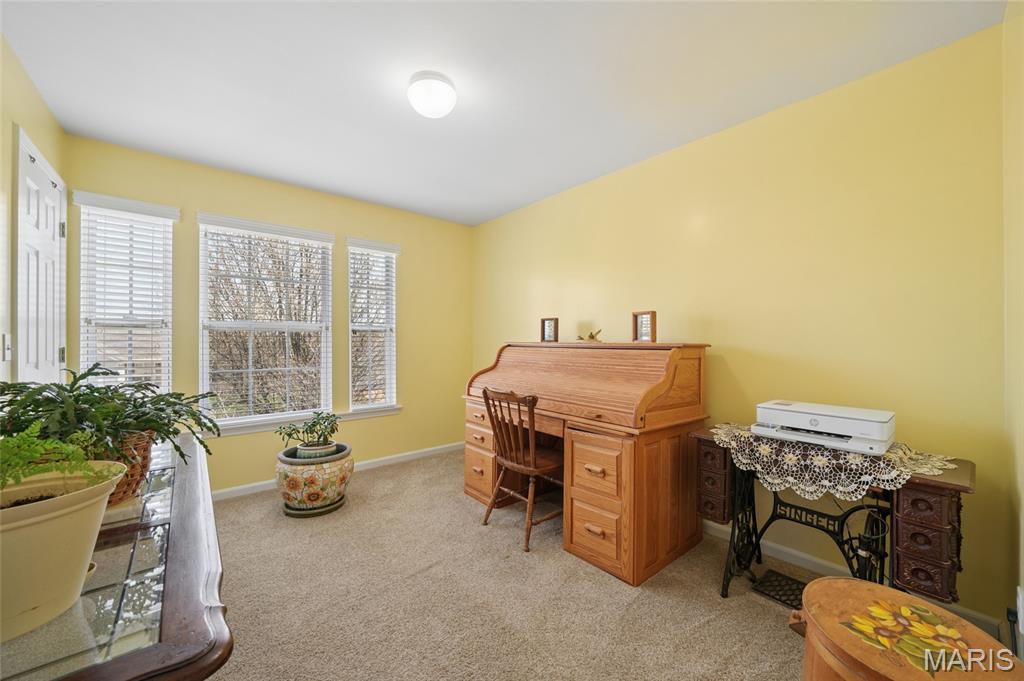 6099 Timber Hollow Lane High Ridge, MO 63049 - Photo 28 of 41