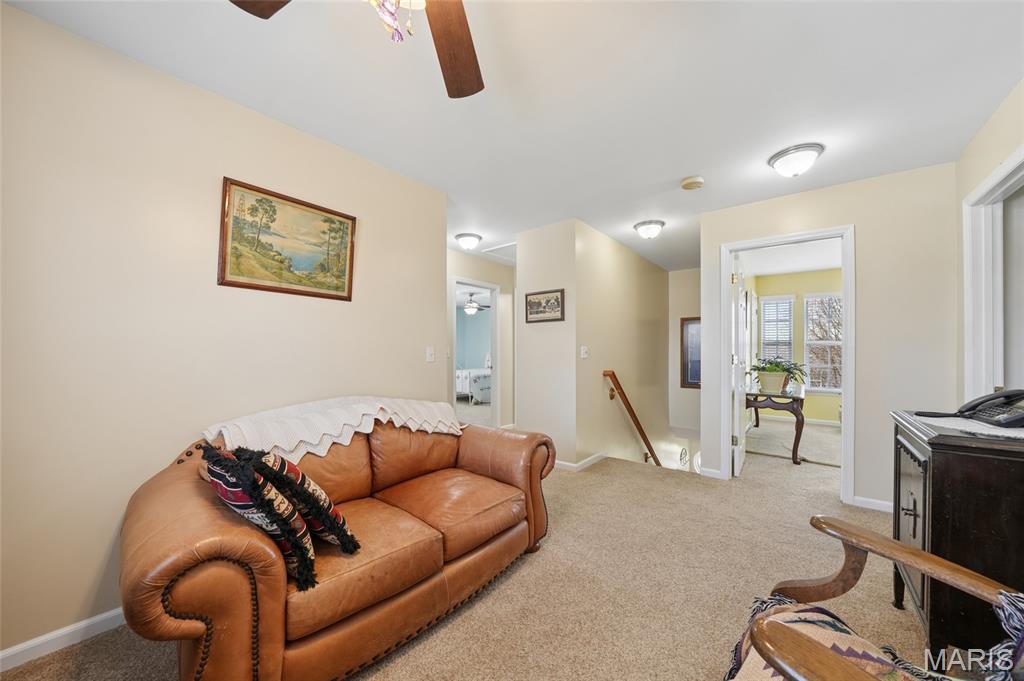 6099 Timber Hollow Lane High Ridge, MO 63049 - Photo 29 of 41