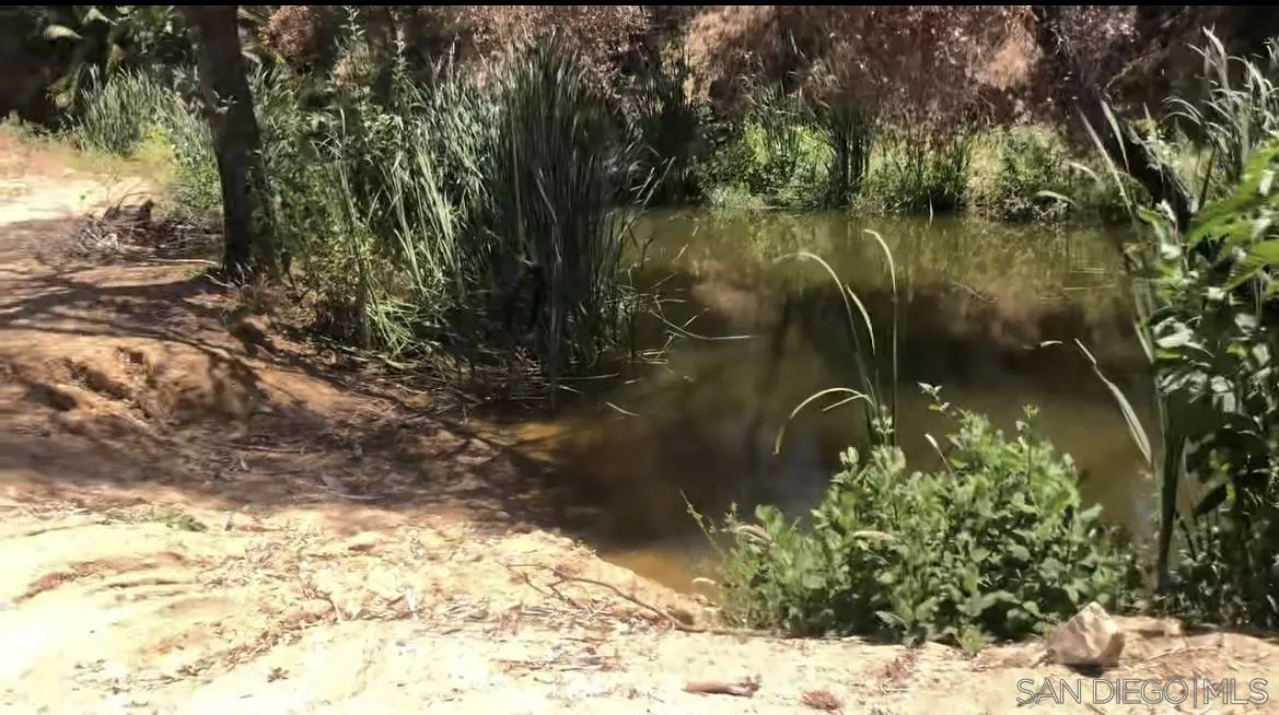 Lilac Road Bonsall, CA 92003 - Photo 11 of 15 Gallery Image 11