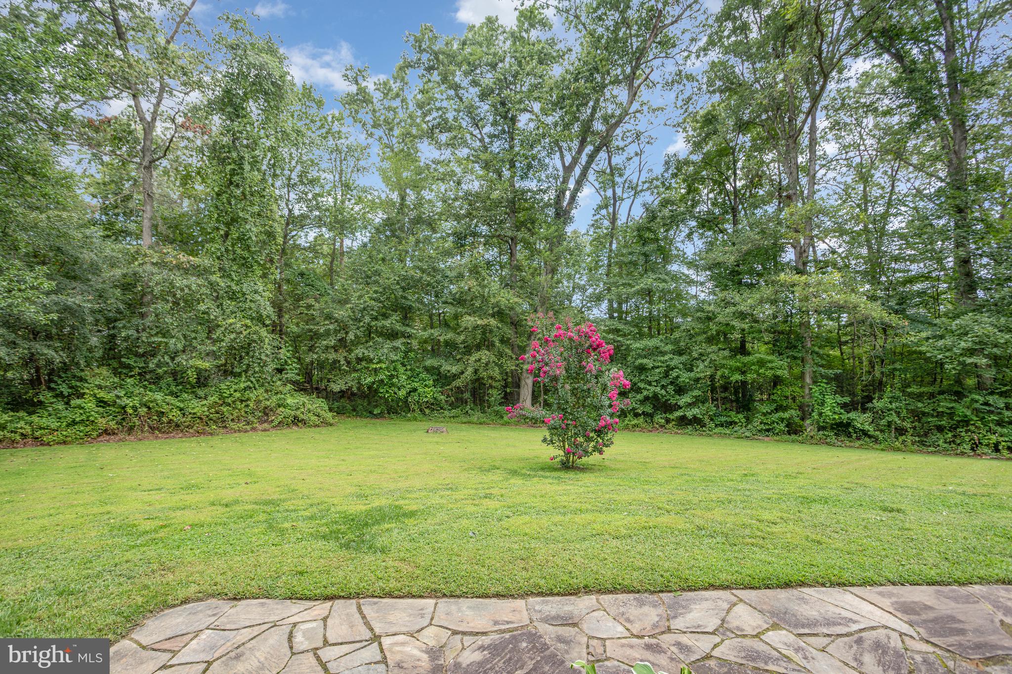 101 St Marys Road Pylesville, MD 21132 - Photo 40 of 57 Back yard