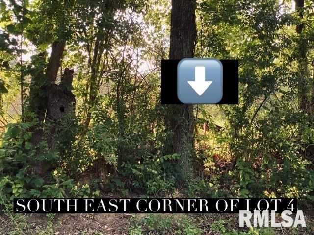 Lot 3 Falcon Road Carbondale, IL 62902 - Photo 3 of 7