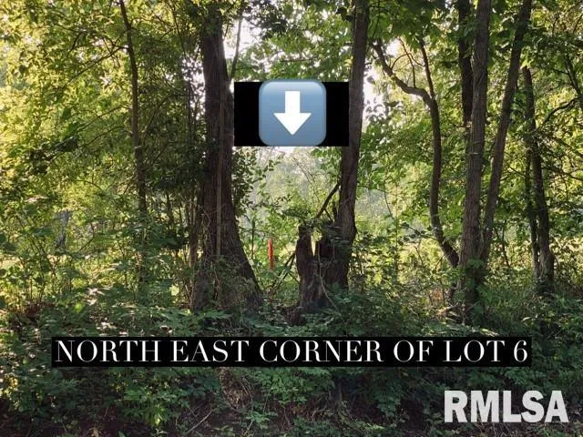 $30,000 | Lot 3 Falcon Road, Carbondale, IL 62902