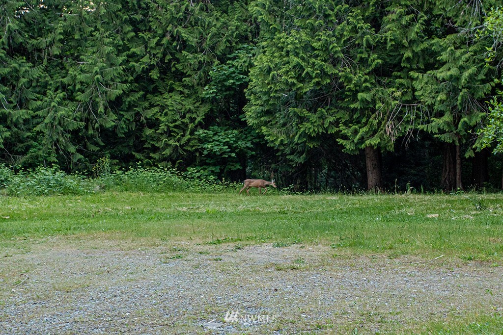 5208 Lackey Road Northwest Vaughn, WA 98394 - Photo 19 of 30