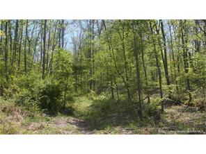 0 Sycamore Road Taswell, IN 47175 - Photo 1 of 5