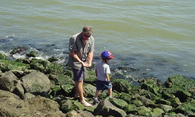 $1,850,000 | 1880-1882 Centro W Street, Tiburon, CA 94920