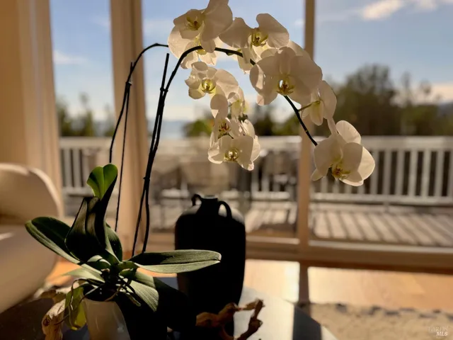 a living room with fireplace furniture and a chandelier