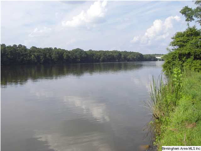 121 River Run Road Childersburg, AL 35044 - Photo 13 of 15