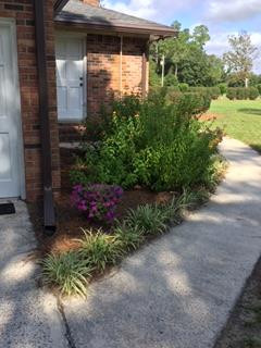 450 Hi-Cotton Lane Springfield, SC 29146 - Photo 36 of 41