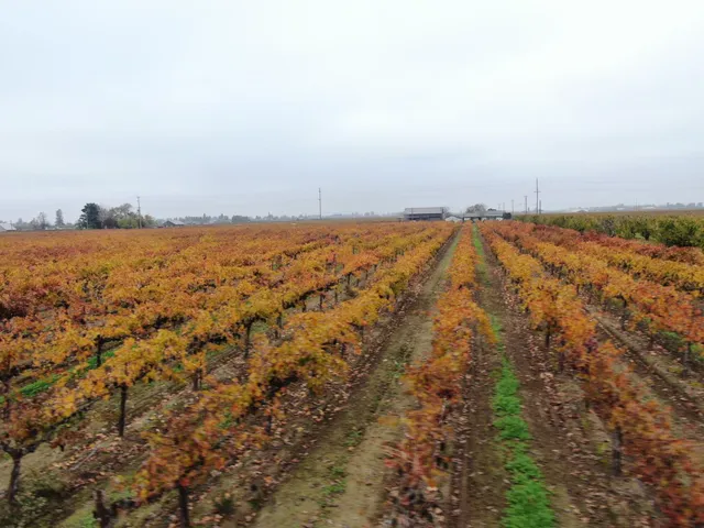 an aerial view of house with yard and mountain view in back
