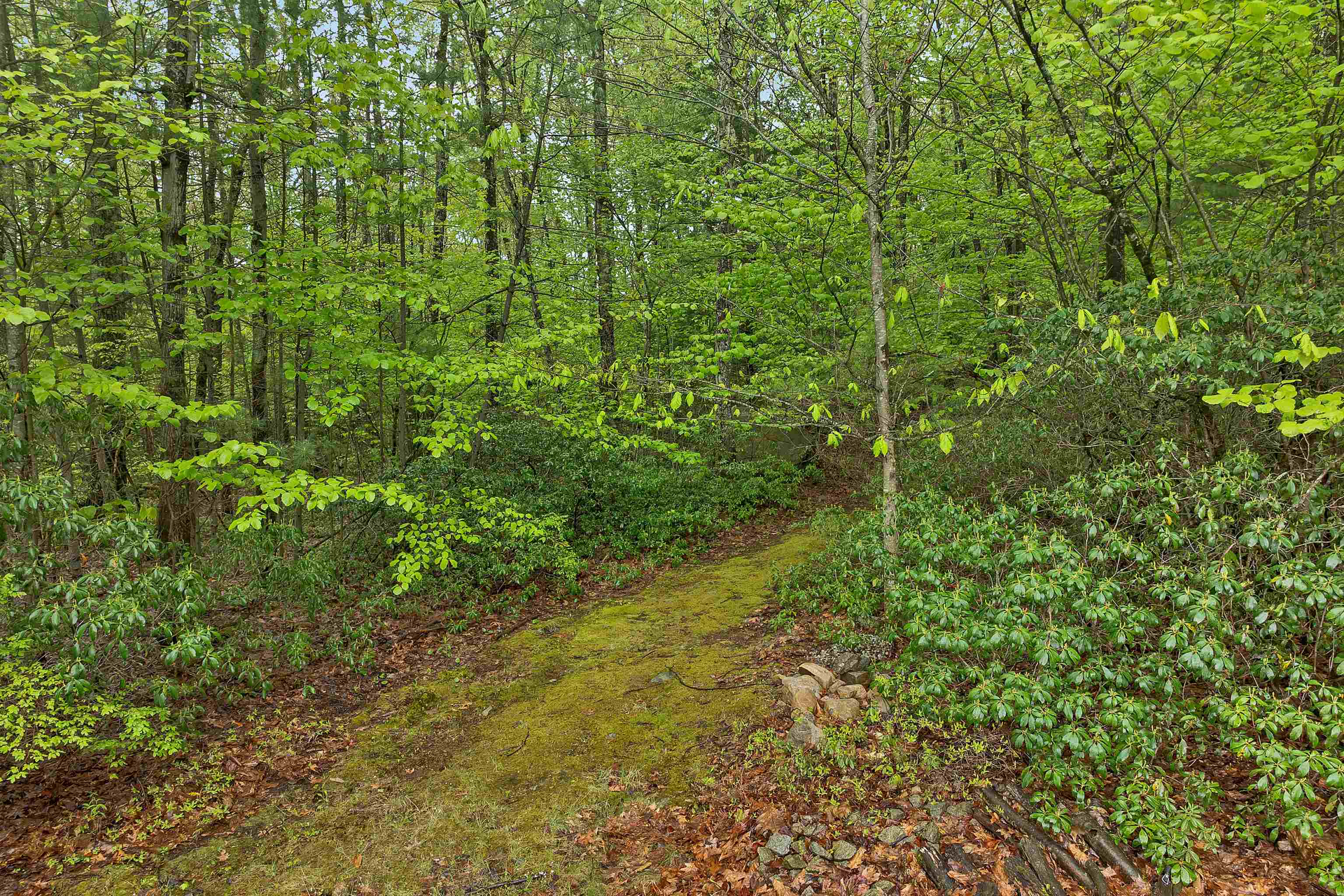441 Ponemah Hill Road Milford, NH 03055 - Photo 43 of 46