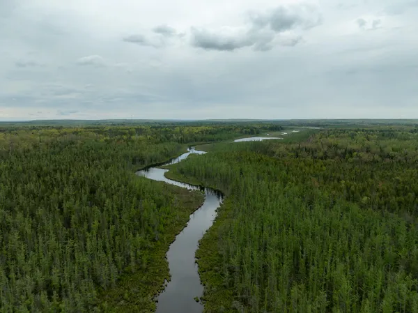 $5,000,000 | 1408 Turtle Lake Road, Gaylord, MI 49735