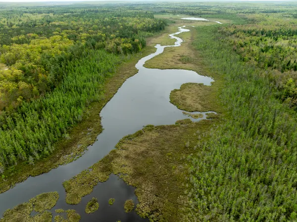 $5,000,000 | 1408 Turtle Lake Road, Gaylord, MI 49735