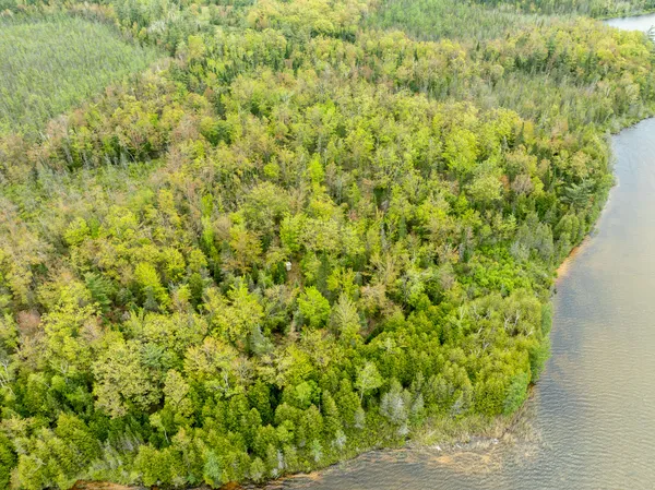 $5,000,000 | 1408 Turtle Lake Road, Gaylord, MI 49735