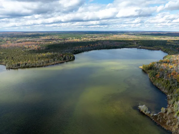 $5,000,000 | 1408 Turtle Lake Road, Gaylord, MI 49735