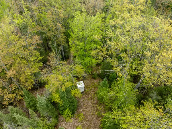 $5,000,000 | 1408 Turtle Lake Road, Gaylord, MI 49735