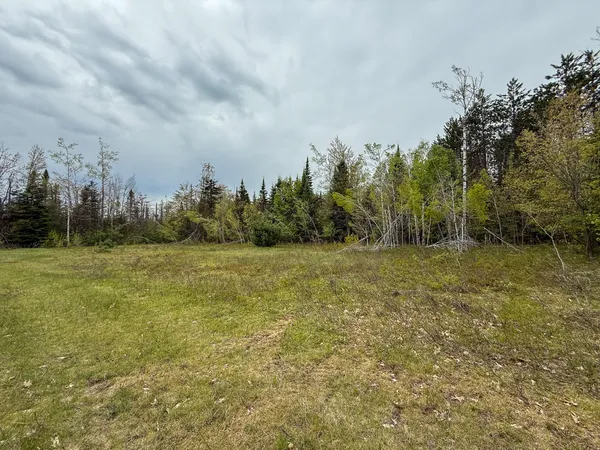 $5,000,000 | 1408 Turtle Lake Road, Gaylord, MI 49735