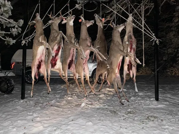 $5,000,000 | 1408 Turtle Lake Road, Gaylord, MI 49735