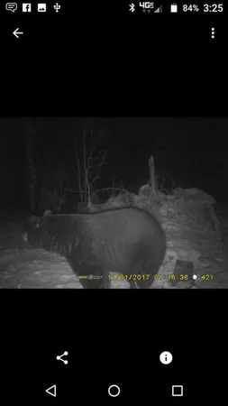 $5,000,000 | 1408 Turtle Lake Road, Gaylord, MI 49735