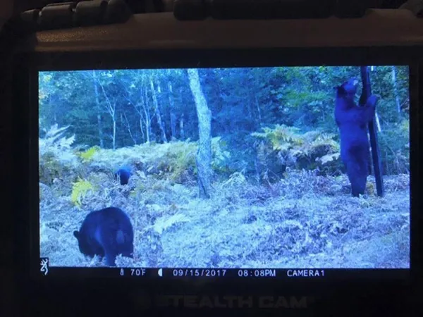 $5,000,000 | 1408 Turtle Lake Road, Gaylord, MI 49735