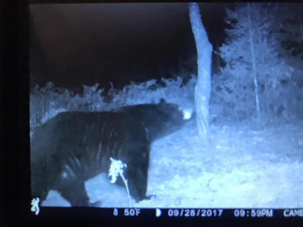 $5,000,000 | 1408 Turtle Lake Road, Gaylord, MI 49735