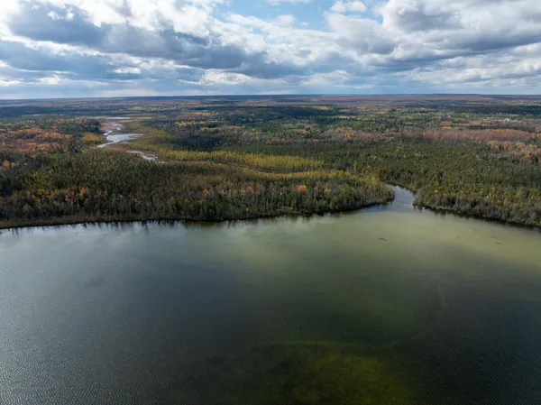 $5,000,000 | 1408 Turtle Lake Road, Gaylord, MI 49735